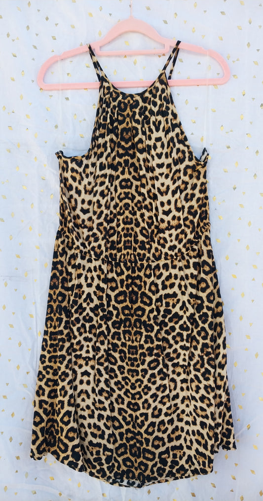 Leopard Cinch Waist Dress